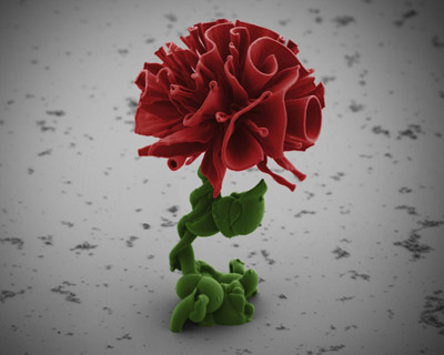 harvard researcher grows microscopic crystal flowers