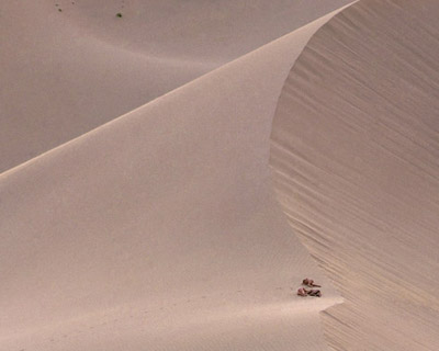 ruben brulat: paths   scenes between man + nature