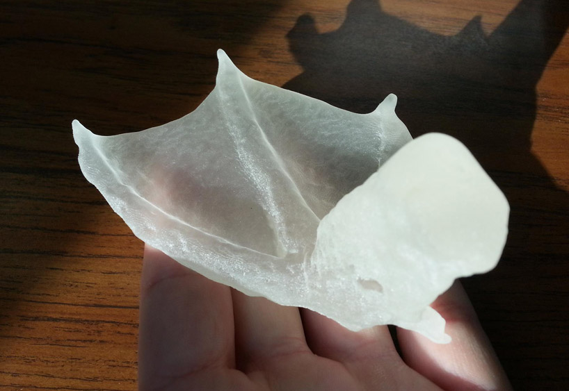3D printed prosthetic foot saves duck's life