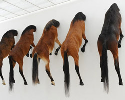 maurizio cattelan's 5 horses at fondation beyeler