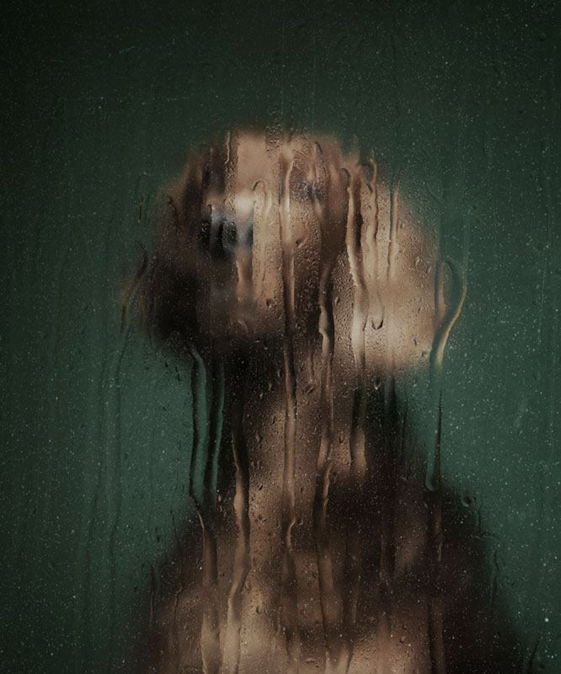 martin usborne: nice to meet you - portraits of abandoned dogs
