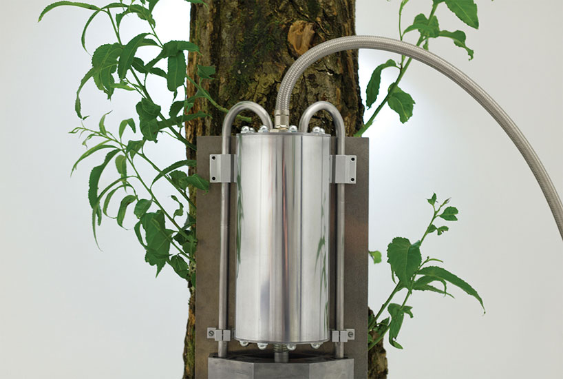 adam shephard uses energy from tree growth for production