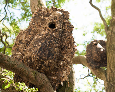 birdhouses made from cigarette butts by atelier monté