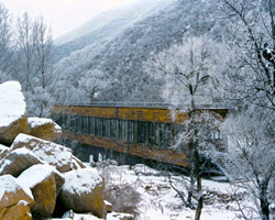 suitcase house by gary chang hides program beneath floor