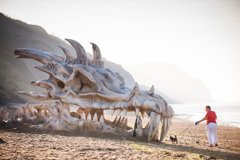 massive dragon skull along england's jurassic coast