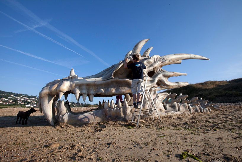 Massive Dragon Skull Along England S Jurassic Coast