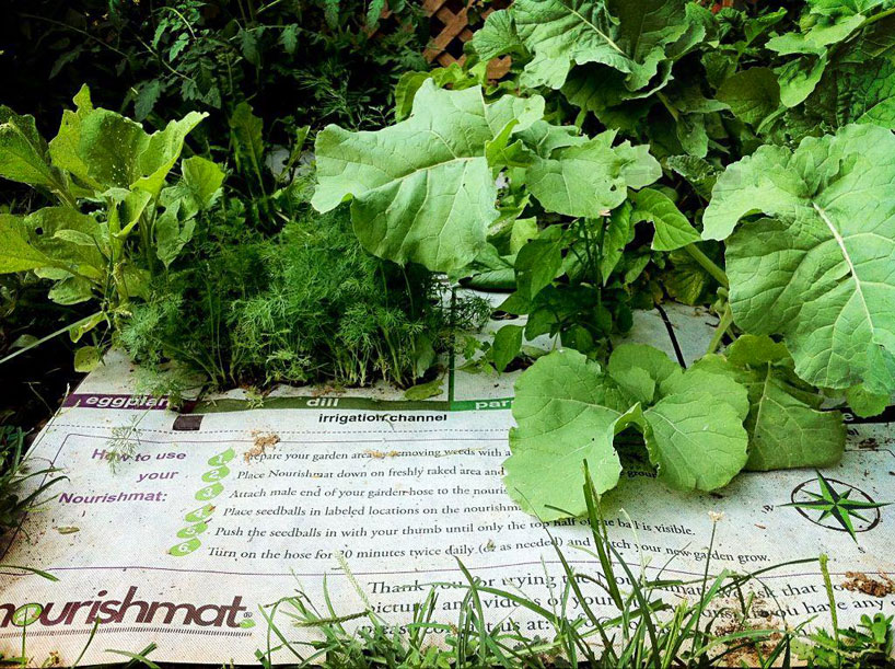 Urban Garden Mats