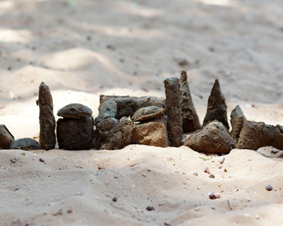 play with poop - 3D printed disposable waste