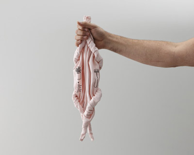 chicken tea towel by alt group for fisher & paykel