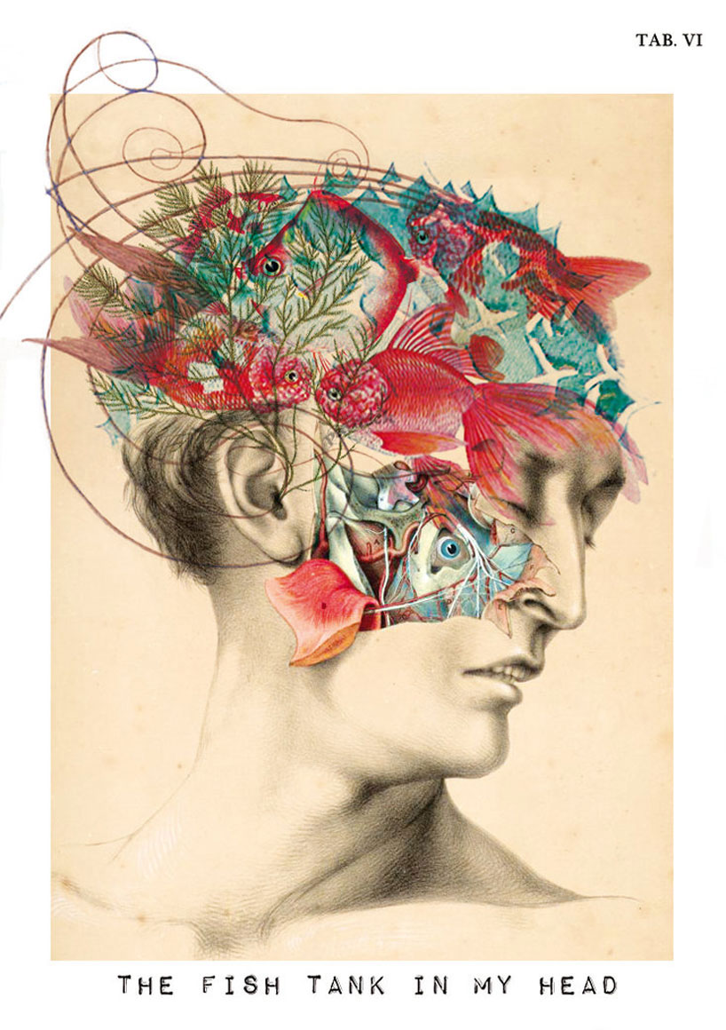 isabelle dalle: digital anatomical portraits 