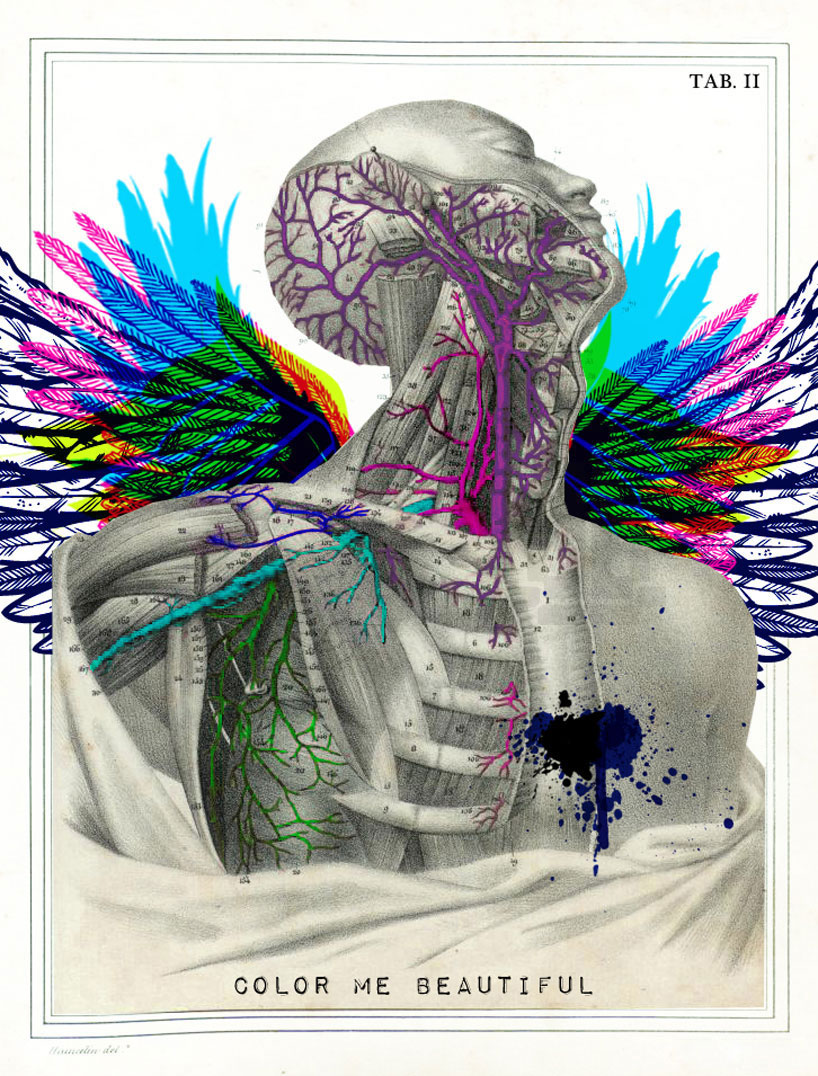 isabelle dalle: digital anatomical portraits 