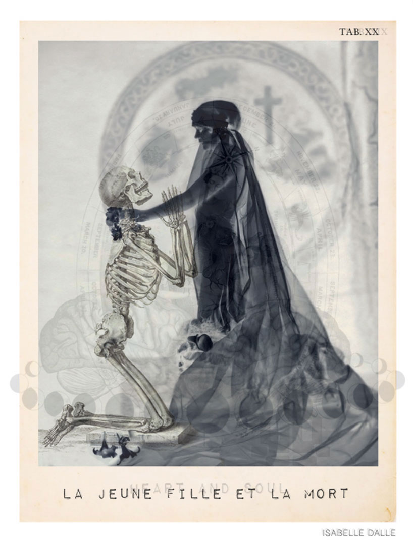 isabelle dalle: digital anatomical portraits 