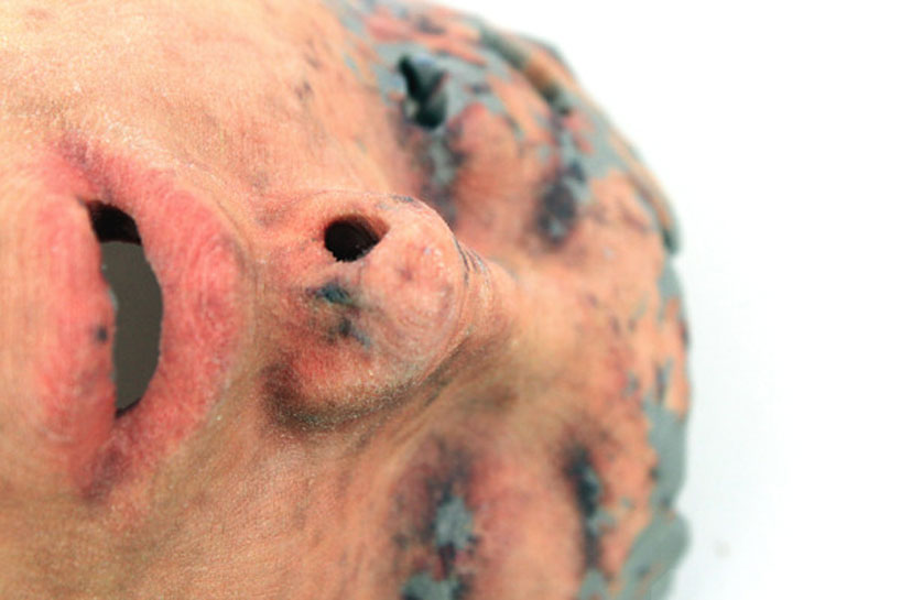 3D printed facial studies by lorna barnshaw