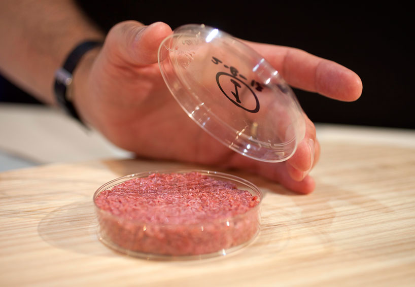 cultured beef: first lab-grown burger is tasted