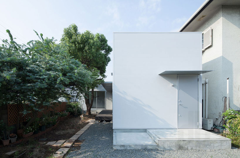 yosuke ichii architects design ik house around a camphor tree
