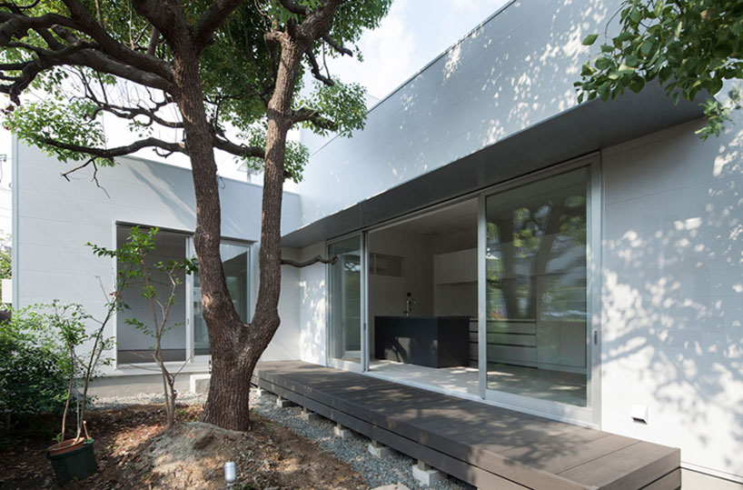 yosuke ichii architects design ik house around a camphor tree