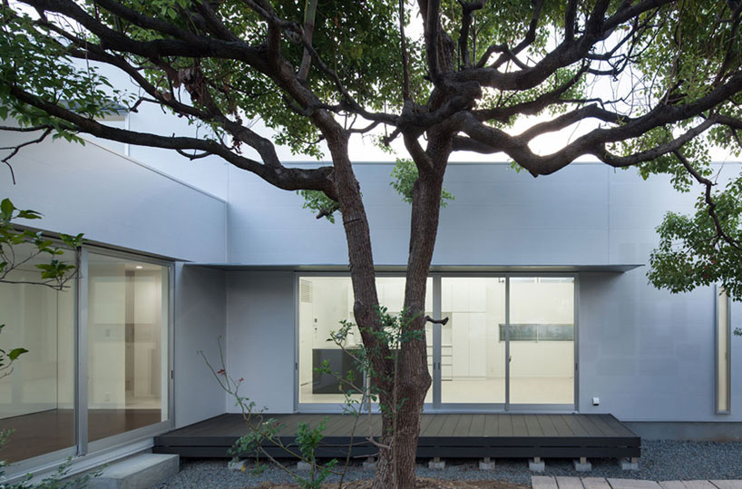 yosuke ichii architects design ik house around a camphor tree