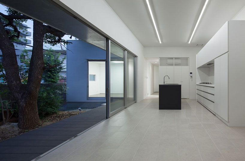 yosuke ichii architects design ik house around a camphor tree