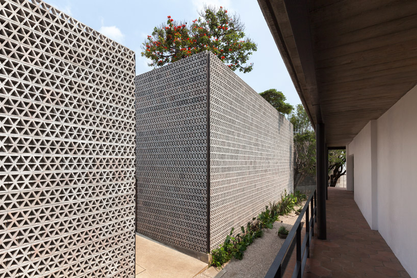 frida_escobedo_04 frida escobedo interview