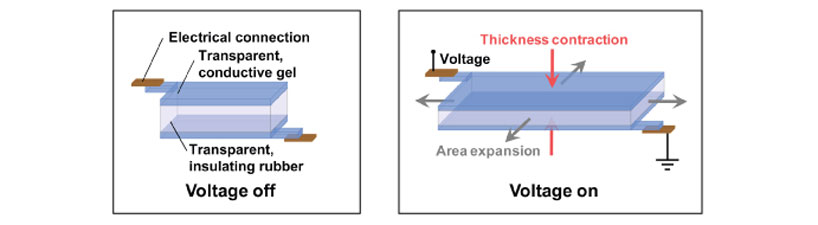 harvard's ionic transparent gel speakers harvard's ionic gel speakers are stretchable and almost invisible