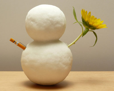 shinobu koizumi's useful snow-like objects won't melt away