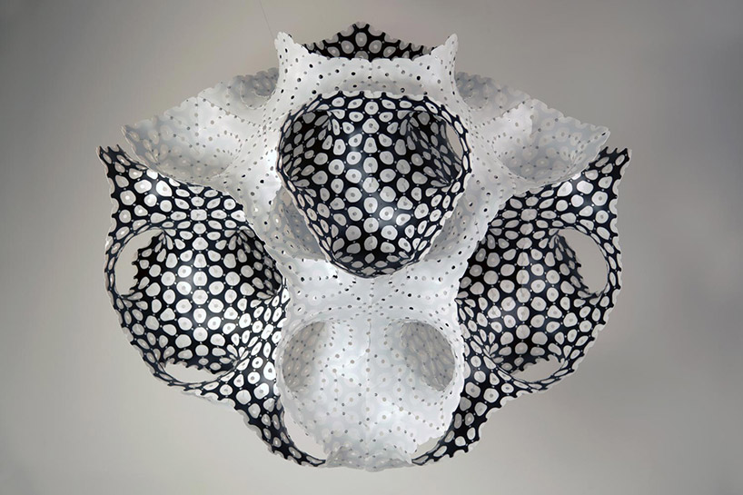 3.Alveolata_2_7_A-Vlad-Tenu synthetic nature by vlad tenu