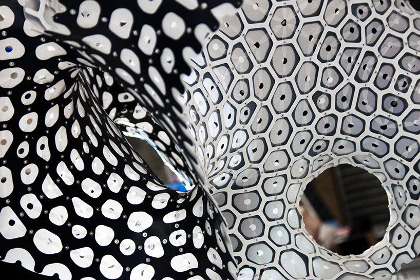 5.Alveolata-3_7_A-Vlad-Tenu synthetic nature by vlad tenu