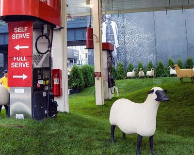NYC gas station turned pop-up sheep pasture