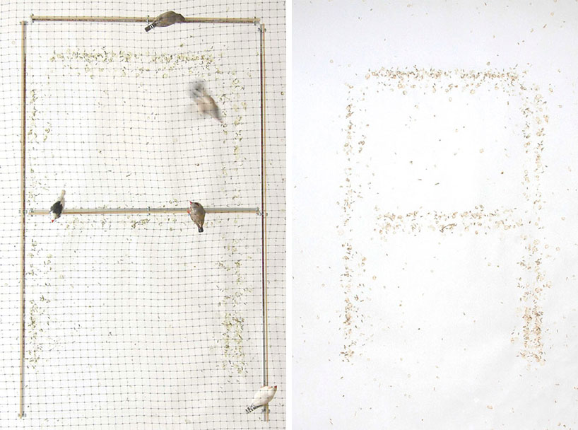poo printer generates typography with bird waste
