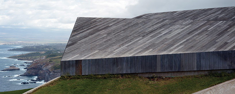 dekleva gregoric's clifftop house in hawaii watches over the ocean