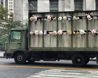better out than in: banksy's NYC street art - part one