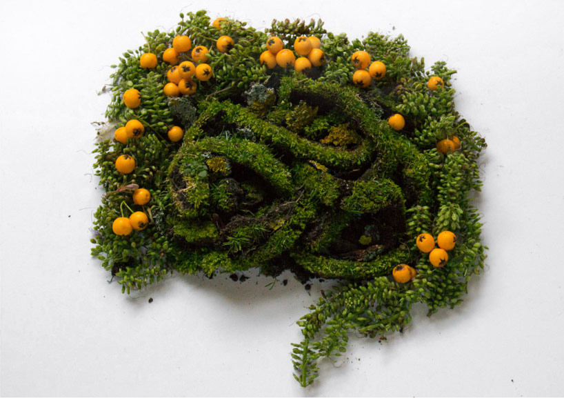 camila carlow sculpts human organs from foraged flora