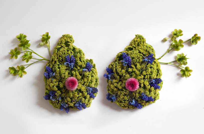 camila carlow sculpts human organs from foraged flora