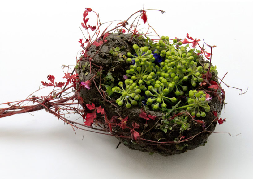 camila carlow sculpts human organs from foraged flora