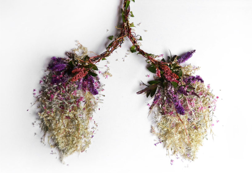 camila carlow sculpts human organs from foraged flora