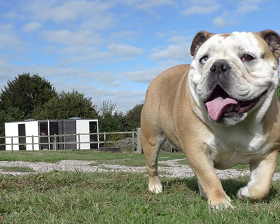 barry jackson reveals the compact and modular hivehaus