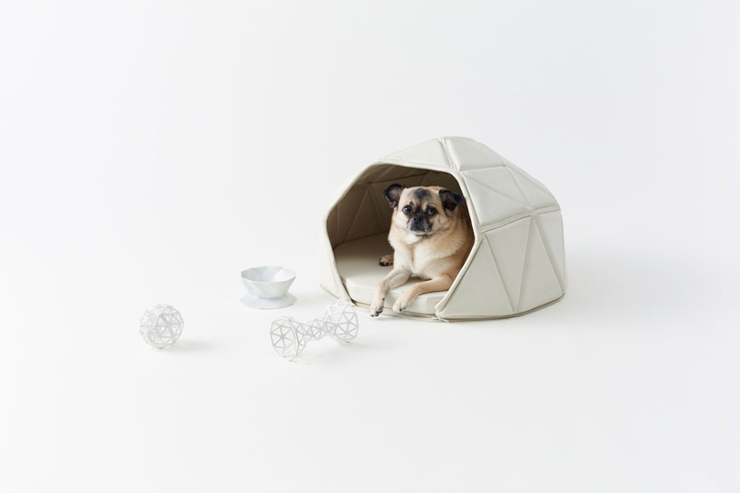 nendo throws one to the dogs with heads or tails accessories