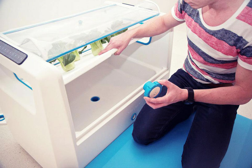 sealeaf provides floating hydroponic farming for coastal cities