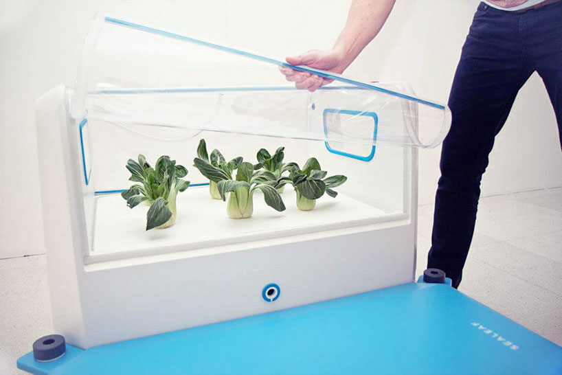 sealeaf provides floating hydroponic farming for coastal cities