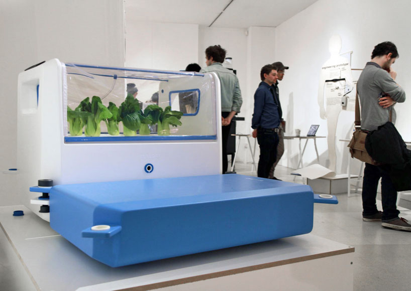 sealeaf provides floating hydroponic farming for coastal cities