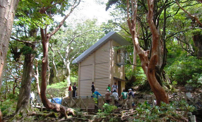 shigeru ban builds paper tube tree hut on yakushima island