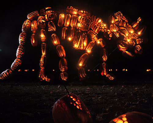 mammoth pumpkin carvings at the great jack o'lantern blaze