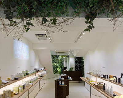 three dogs design NZ wild bounty flagship store in hong kong