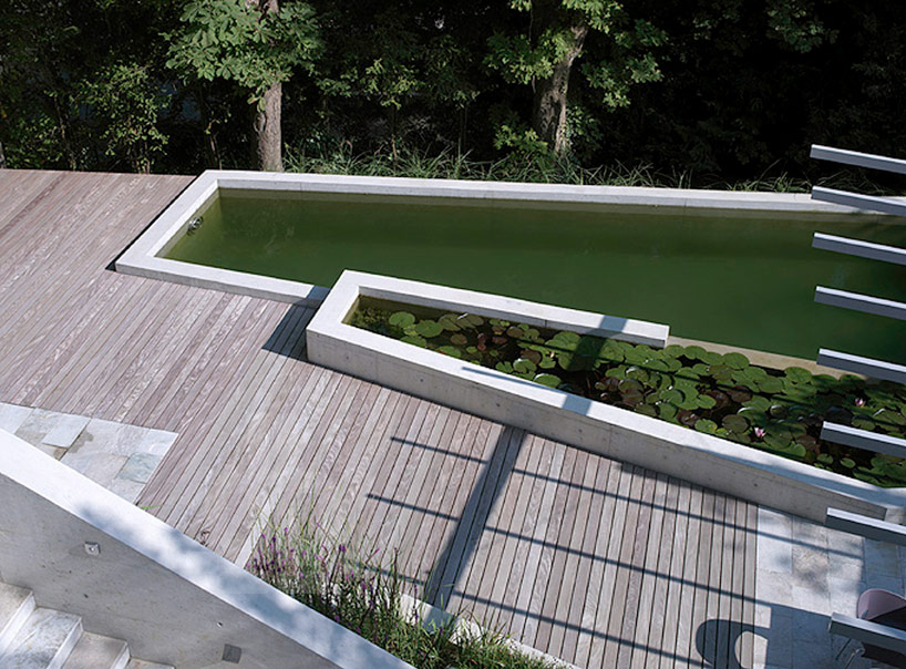 fletcher studio blend zurich biopool into an ecological oasis 