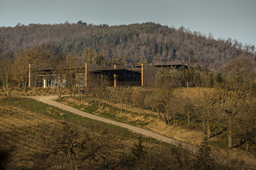 alvisi kirimoto opens the bulgari winery in tuscany