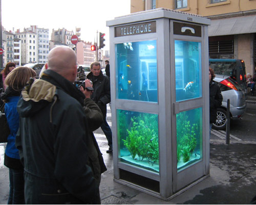 phone booth aquariums by benedetto bufalino + benoit deseille 