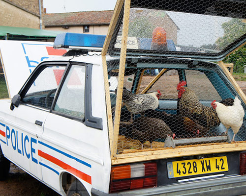 benedetto bufalino repurposes a police car as a chicken coop