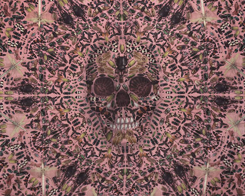 Alexander McQueen Skull by Liv on Dribbble