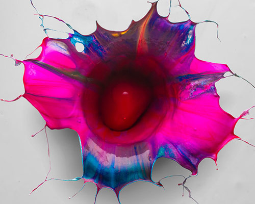fabian oefner unites gravity and paint to create liquid orchids