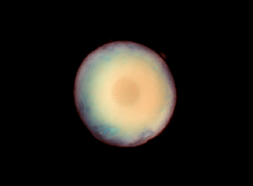 whimsically arranged mushrooms become fungi luminograms